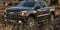 2020 Chevrolet Silverado 1500 Crew Cab Short Box 4-Wheel Drive LT Trail Boss